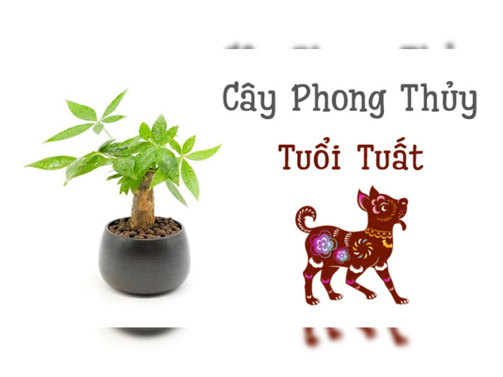 Phong Thủy Trồng Cây Tuổi Tuất: Bí Quyết Hút Tài Lộc và May Mắn