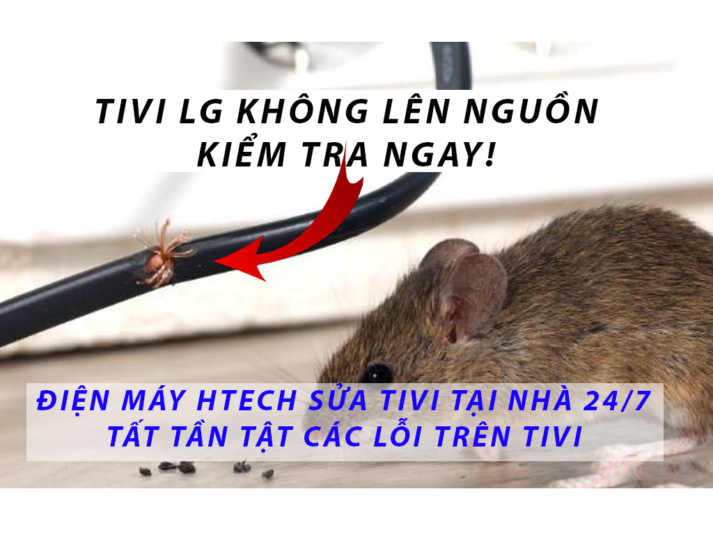 Tivi LG không lên nguồn lỗi do đâu? Bắt bệnh sửa tivi LG 100 ...